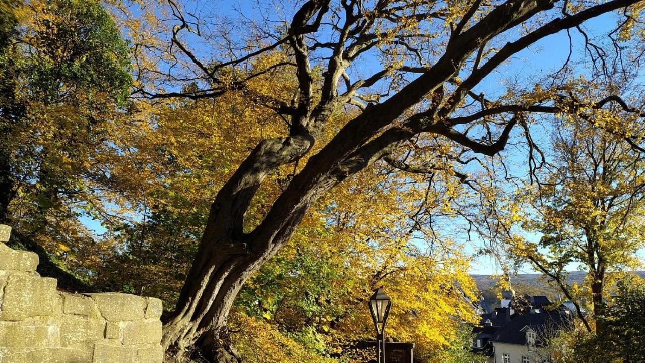 Panoramahaus Sauerland Διαμέρισμα Άρνσμπεργκ Εξωτερικό φωτογραφία