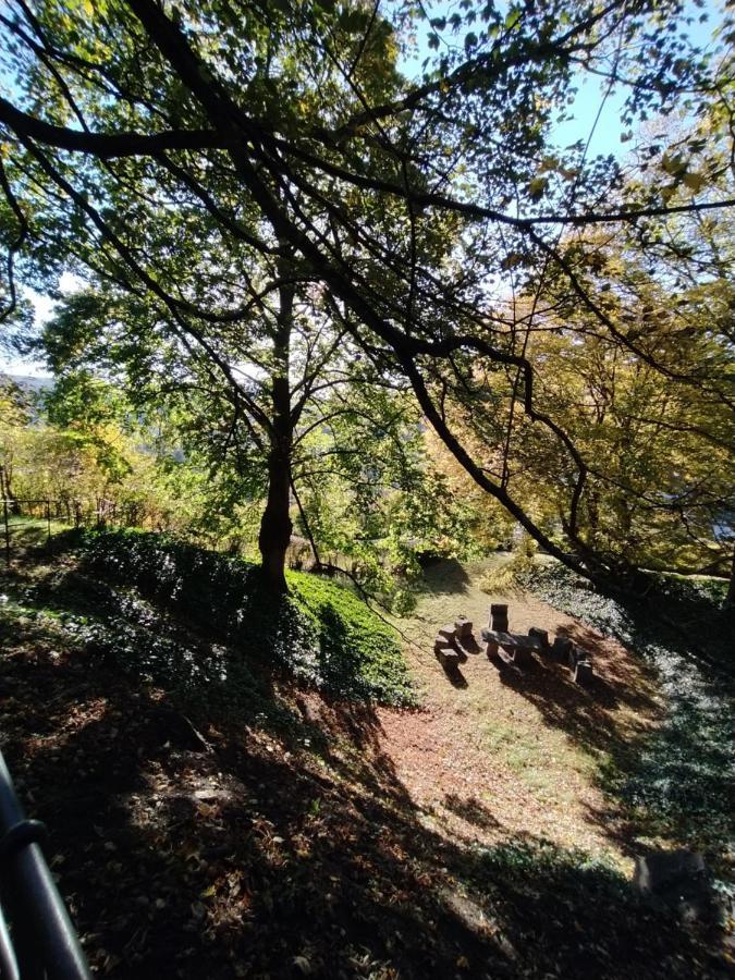 Panoramahaus Sauerland Διαμέρισμα Άρνσμπεργκ Εξωτερικό φωτογραφία